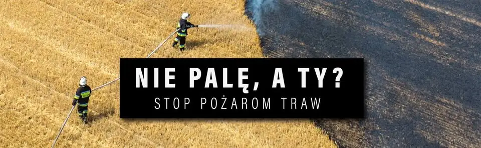 Akademia Młodego Poszukiwacza zakończona sukcesem w Owczarach