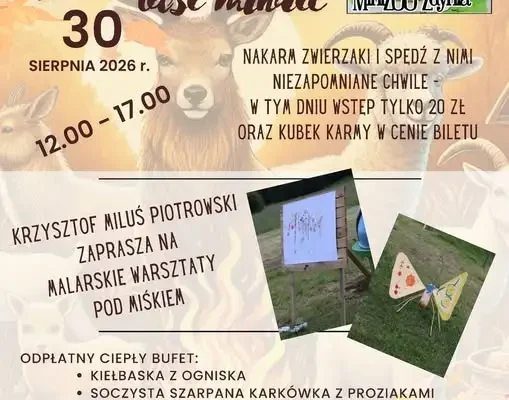 Rodzinny Dzień w MiniZOO Zdynia – zakończ wakacje blisko zwierząt