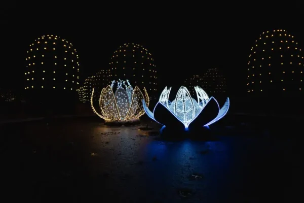 Festiwal Światła 2026 w Gorlicach: iluminacje, fireshow i koncerty na zakończenie wakacji