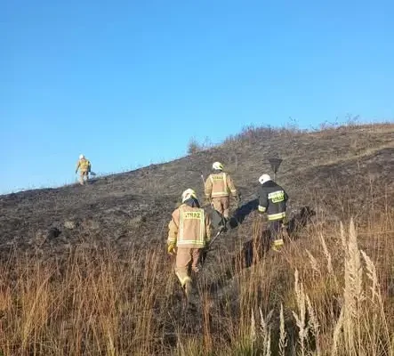 Pożar traw w Lipinkach. Interweniowały OSP Lipinki i OSP Kryg